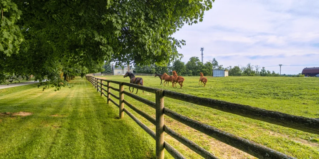Riverview Fence Contractors in Apollo Beach, FL